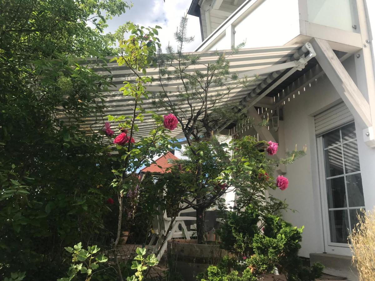 福希海姆Obere Kellerstrasse Haus 3别墅 外观 照片